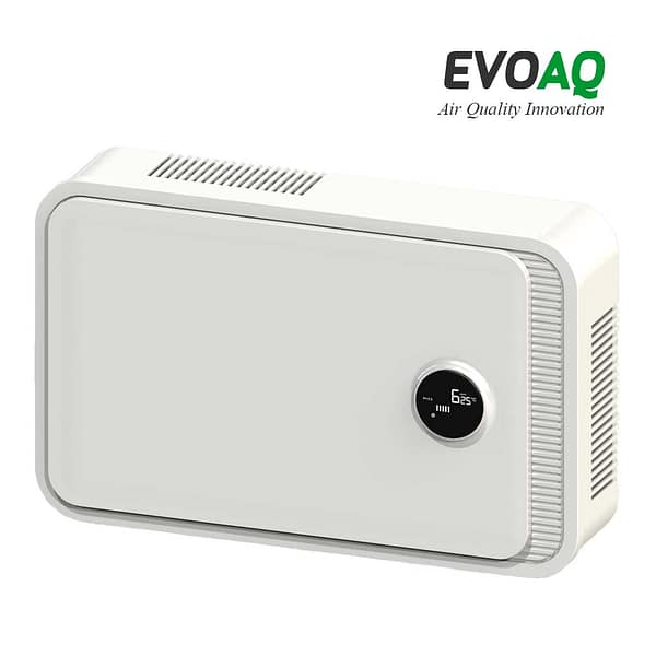 Through Wall ERV Unit